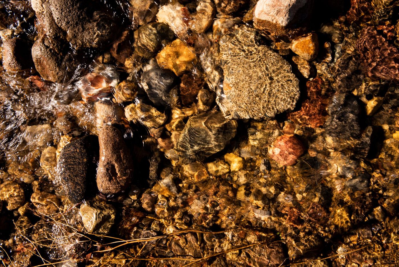 Rocks at Blair Vineyard