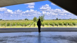 Cheval Blanc