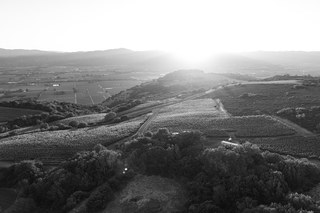 Houyi Estate Vineyard